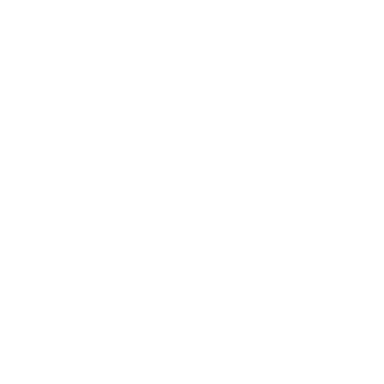 Placibras